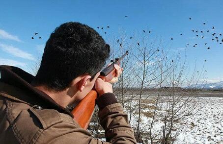 شکارچیان پرندگان وحشی در رفسنجان دستگیر شدند