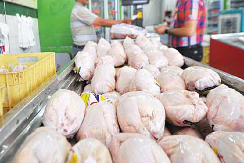 توزیع گسترده مرغ از فردا در رفسنجان / با سودجویان برخورد می شود