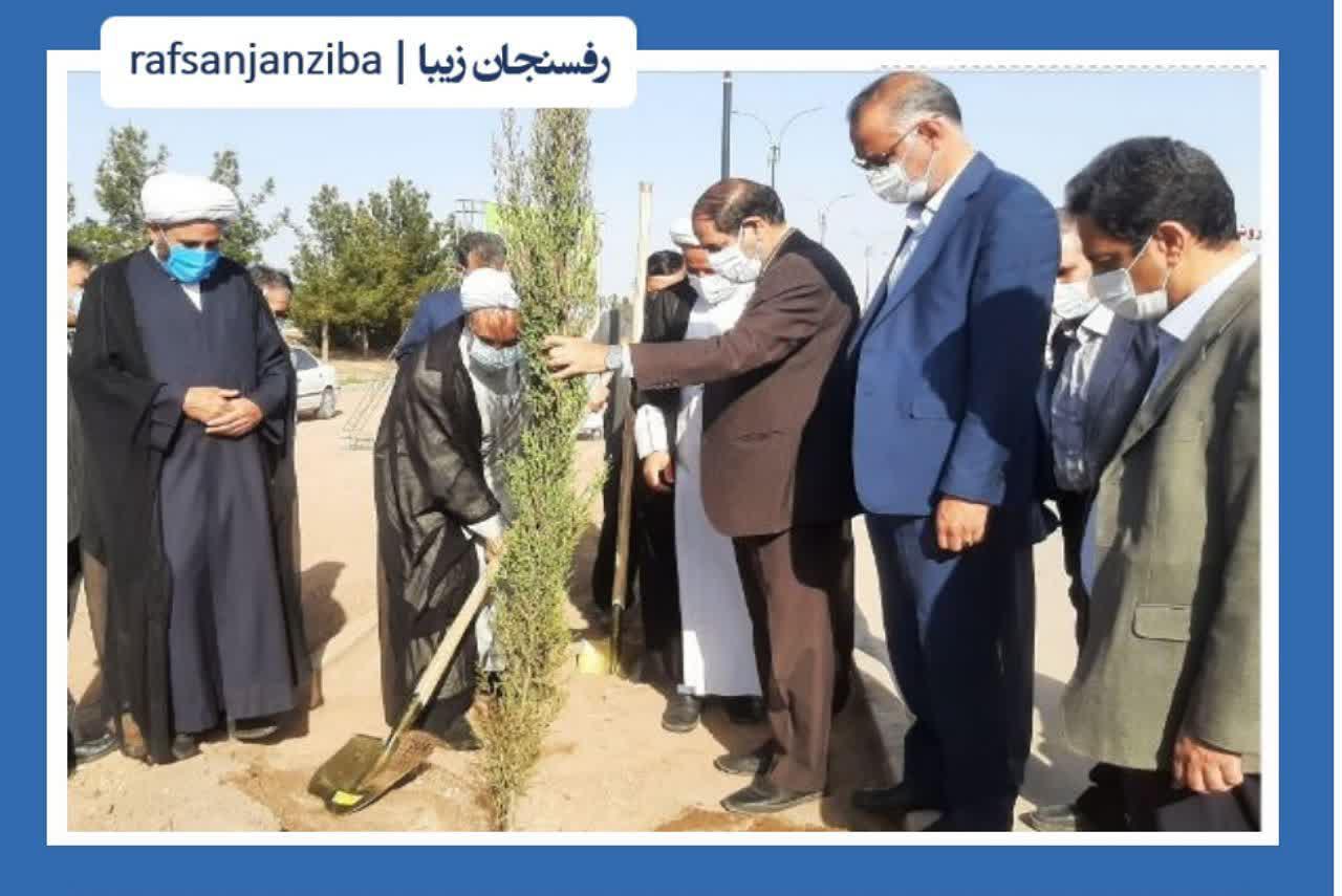 کاشت بیش از ۱۰ هزار نهال در شهرستان رفسنجان
