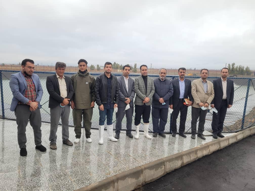 بازدید فرماندار رفسنجان از بزرگترین واحد پرورش ماهی خاویار استان کرمان